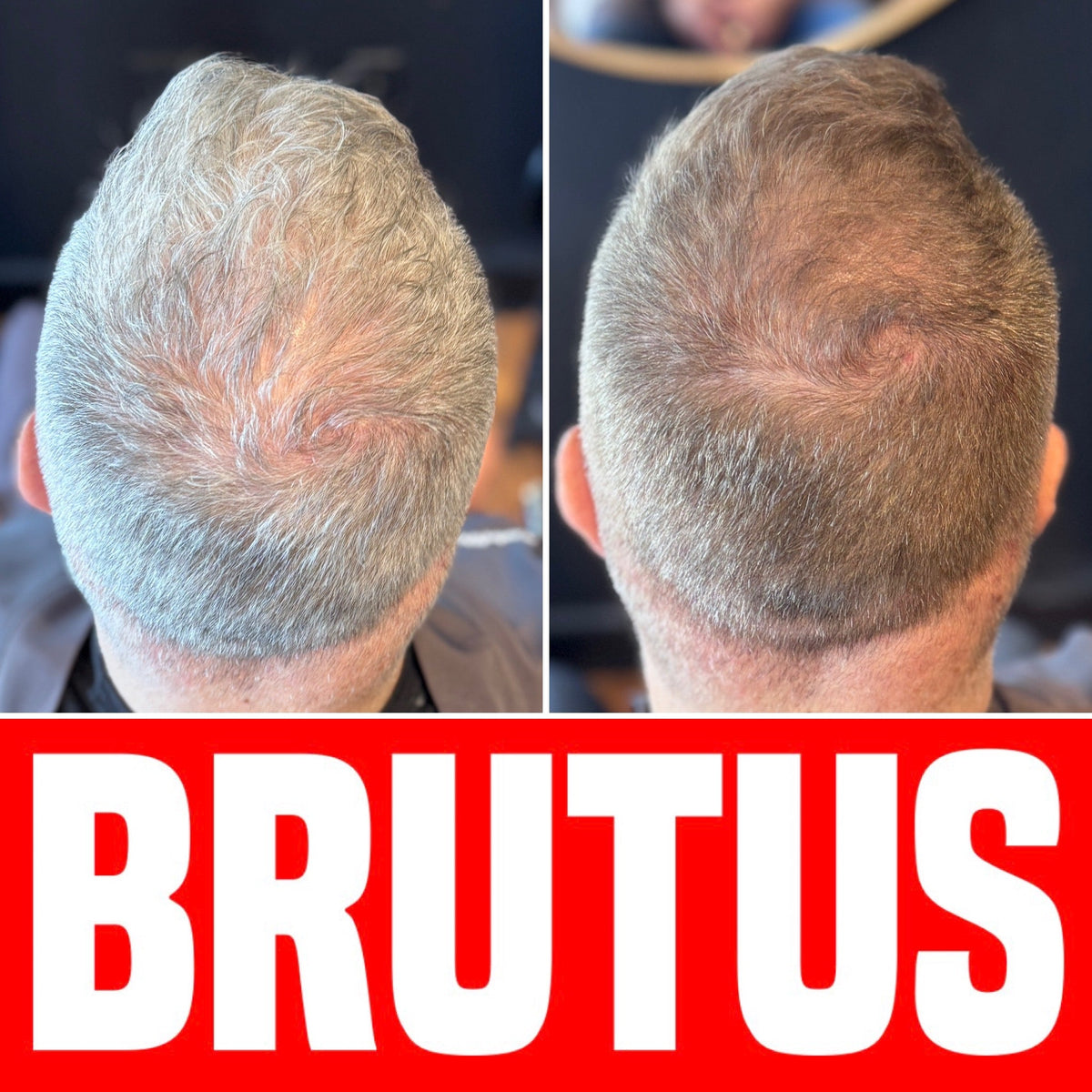 BRUTUS Naturals Hair + Beard Color — Light Ash Brown