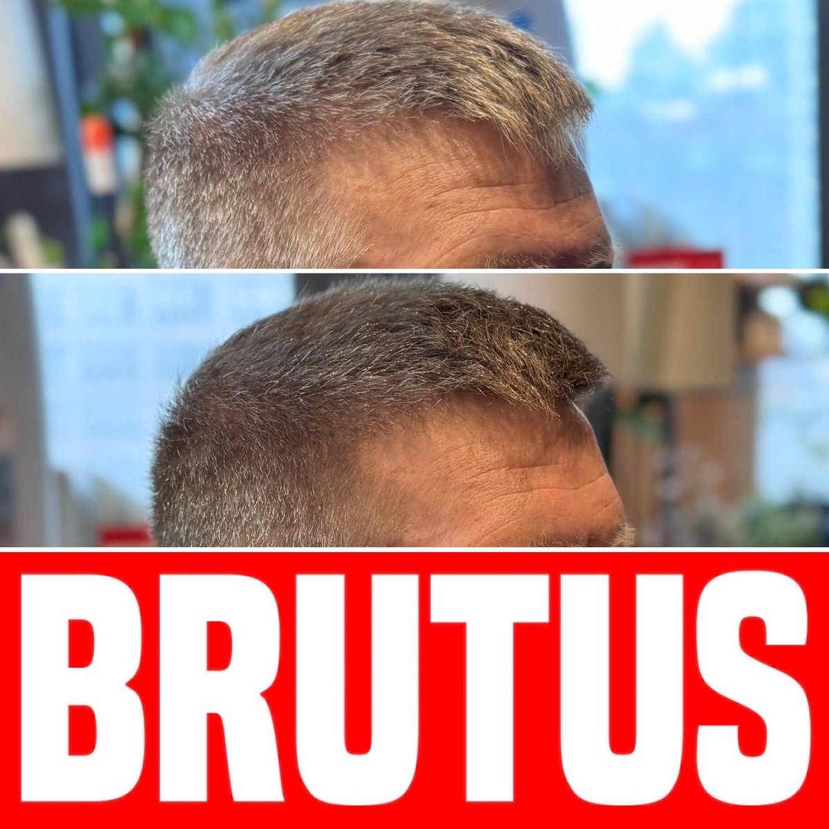 BRUTUS Naturals Hair + Beard Color — Light Ash Brown